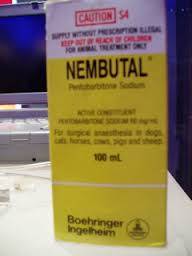 nembutal pentobarbital sodio de alta calidad