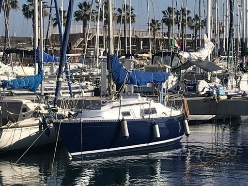 Puma Yachts 26